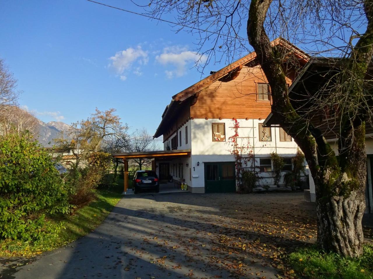 Zimmer Und Ferienwohnungen "Heidis Welt" Podlanig Hermagor-Pressegger See Buitenkant foto